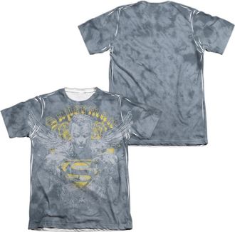 Gildan Superman Stand Your Ground (Front/Back Print) Adult 65/35 Poly/Cotton Short Sleeve Tee / T-Shirt