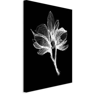 OEM Pintura - Flor Nocturna (1 Parte) Vertical
