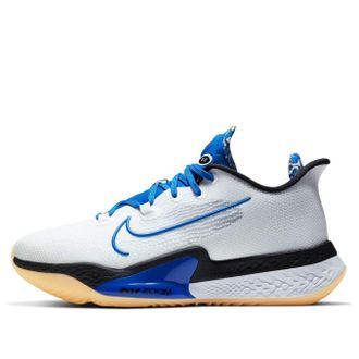 Nike Air Zoom BB NXT Sisterhood DB9990-100