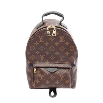 Louis Vuitton Pre-owned Palm Springs Backpack PM Monogram Backpack - Dames - Vintage Rugzakken - Bruin - ONE Size - Leer - Vintage