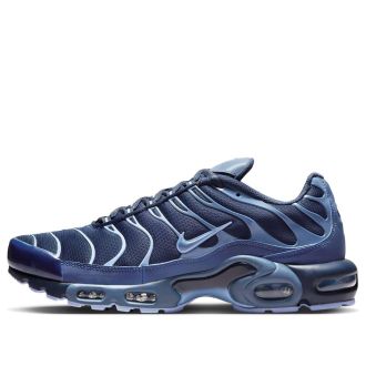 Nike Air Max Plus Obsidian Aluminum IM6601-451