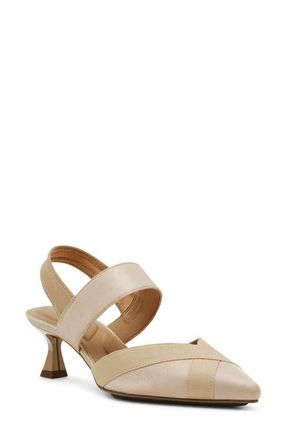 Anne Klein Ireland Kitten Heel Pointed Toe Pump in Natural at Nordstrom, Size 6.5