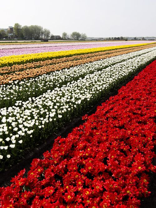 How Many Of These Epic Destinations Have You Checked Off Your Bucket List? | Stylight