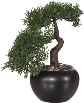Creativ Green Kunstbonsai