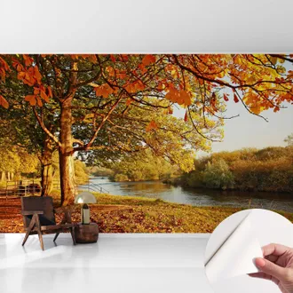 Tulup Carta Da Parati Autoadesiva - Fotomurale - Decorazione Parete - Stile Elegante - Decorazione Casa - Autunno Costiero 416x254 Cm