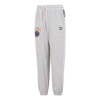 Puma Team Pants Tr Logo Pants Grey 622277-04