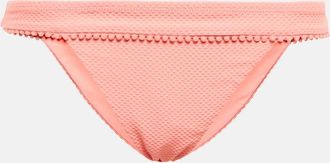 Heidi Klein Rosa Polyantha bikini bottoms