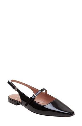Linea Paolo Celeste Slingback Pointed Toe Flat in Black/black at Nordstrom Rack, Size 9.5