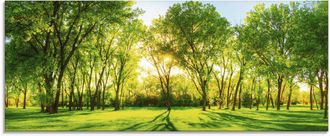 Artland Glasbild »Frühlingswärme II« Wiesen & Bäume 1 Stk. tlg. in verschiedenen Grössen