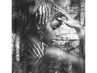 Schubiger M&ouml;bel Bild Exotische Sch&ouml;nheit