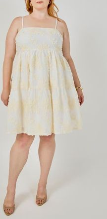 endless rose Floral Embroidered Minidress in Ivory at Nordstrom, Size 1X