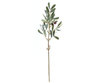 Napa Home & Garden Olive Artificial Stem With Olives 19.5 in Green at Nordstrom