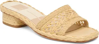Dolce Vita Dixi Slide Sandal in Light Natural Raffia at Nordstrom, Size 7