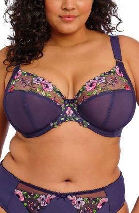 Elomi Himari Full Figure Underwire Plunge Bra in Midnight at Nordstrom, Size 36F