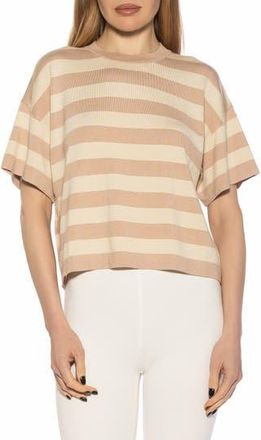 Alexia Admor Remy Stripe Short Sleeve Top in Beige at Nordstrom Rack, Size X-Large