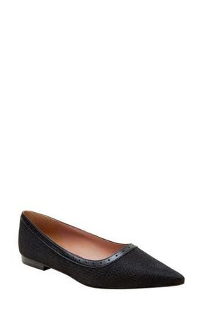 Linea Paolo Newport Pointed Toe Flat in Black at Nordstrom Rack, Size 8.5