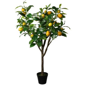 OEM &Aacute;rbol C&iacute;trico Grande En Una Maceta De 115 Cm