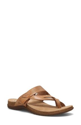 Taos Perfect Toe Loop Sandal in Tan at Nordstrom, Size 11