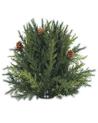 Melrose International Arborvitae Half Orb