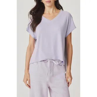 Splendid Amaya V-Neck T-Shirt in Lavender at Nordstrom, Size X-Small