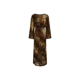 Roberto Cavalli Maxi Dresses, female, Brown, Size: XS Leopard print velvet dress
