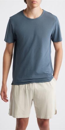 Alex Crane Organic Cotton Crewneck T-Shirt in Lake at Nordstrom, Size Xx-Large