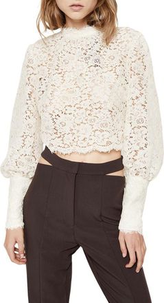 Bardot Georgia Embroidered Lace Top in Oyster at Nordstrom, Size 4