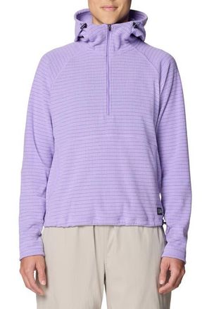 Mountain Hardwear Summit Grid Half Zip Hoodie in Harbor Violet at Nordstrom, Size X-Small