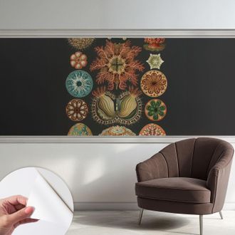Tulup Carta Da Parati Autoadesiva - Fotomurale - Alta Qualit&agrave; - Per La Cucina - Camera Da Letto - Ispirazioni Marine 250x104 Cm