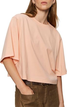 Sanctuary Belle Oversize Organic Cotton T-Shirt in Washed Salmon Pink at Nordstrom, Size X-Large