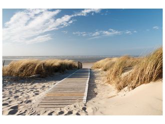 Schubiger M&ouml;bel Digitaldruck auf Glas Holzweg Zum Meer 1