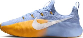 Nike LeBron TR 1 Aluminium University Gold FJ6151-401