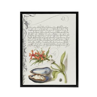 Artery8 Flower Mussel & Ladybird Calligraphy Framed Canvas Wall Art Print in White | Size: W24 x H32