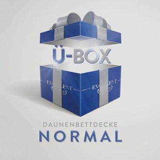 Excellent Daunenbettdecke »Überraschungsbox« normal Füllung 90Daunen10Federn Bezug Baumwolle 1 Stk. tlg. absoluter Sonderpreis, wegen Lagerräumung, Solange der 