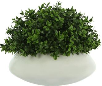 Creative Displays Inc. Green Boxwood Bush