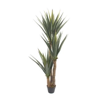 Mobili Rebecca Planta Artificial Yuca Rebecca Mobili Talek 155x80x80 Cm Pvc Pe Metal Cemento, Verde Marr&oacute;n