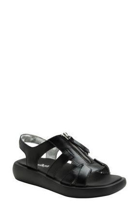 Alegria By Pg Lite Palmer Sandal in Black Sapphire at Nordstrom Rack, Size 10Us / 40Eu