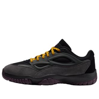 Nike Jordan Air Jordan DMSN 95 Black Iron Grey University Gold HV4928-003