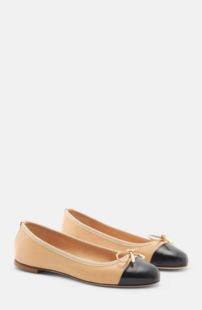 Scarosso Carla Ballerinas in Nude - Calf at Nordstrom, Size 39.5