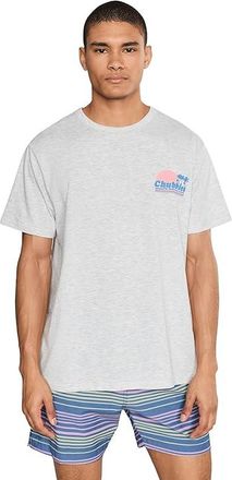 Chubbies Chubbies The Ol College Try (non Pocket Graphic T-shirt) Mens T Shirt Light Grey/Heather : MD, Cotton/Spandex
