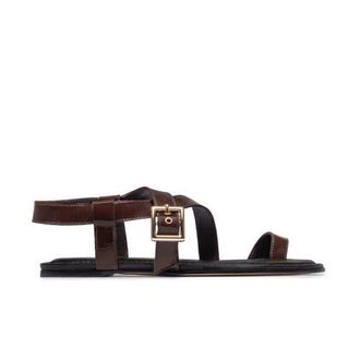 Bernardo Hartshorn Toe Ring Sandal in Dark Chocolate at Nordstrom, Size 9.5