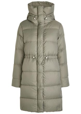 Canada Goose Montgomery Padded Shell Coat - Sage - XL (UK16 / XL)