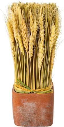 Creativ Home Trockenblume