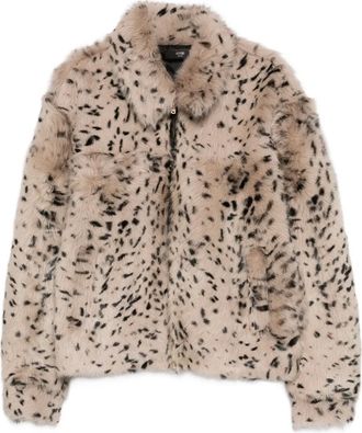 Amiri Jack met patroon - Bruin