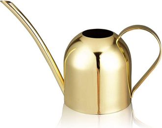 OEM Riego - Acero Inoxidable Y Lat&oacute;n - 500 Ml - Dorado - Para Plantas De Interior Y Exterior - 1 Unidad