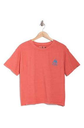 C&C California Toni Boxy Cotton Crop Tee in Cranberry at Nordstrom Rack, Size X-Large