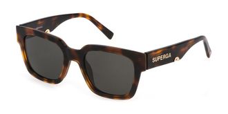 Sting SST459 02BL Mens Sunglasses Tortoiseshell Size 52