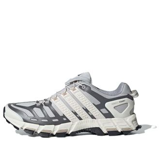 adidas Adistar Raven Grey Wonder Beige IH8015