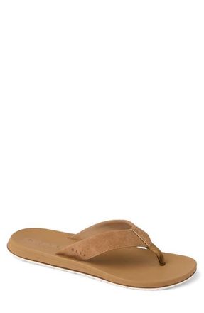Reef The Nox Flip Flop in Tobacco at Nordstrom, Size 13