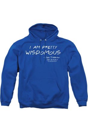 Gildan Friends Wisdomous Adult Pull Over Hoodie / Hooded Sweatshirt